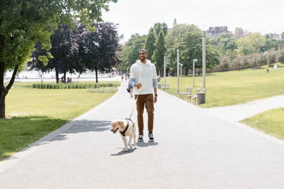 Qué es un paseo individual y por qué importa