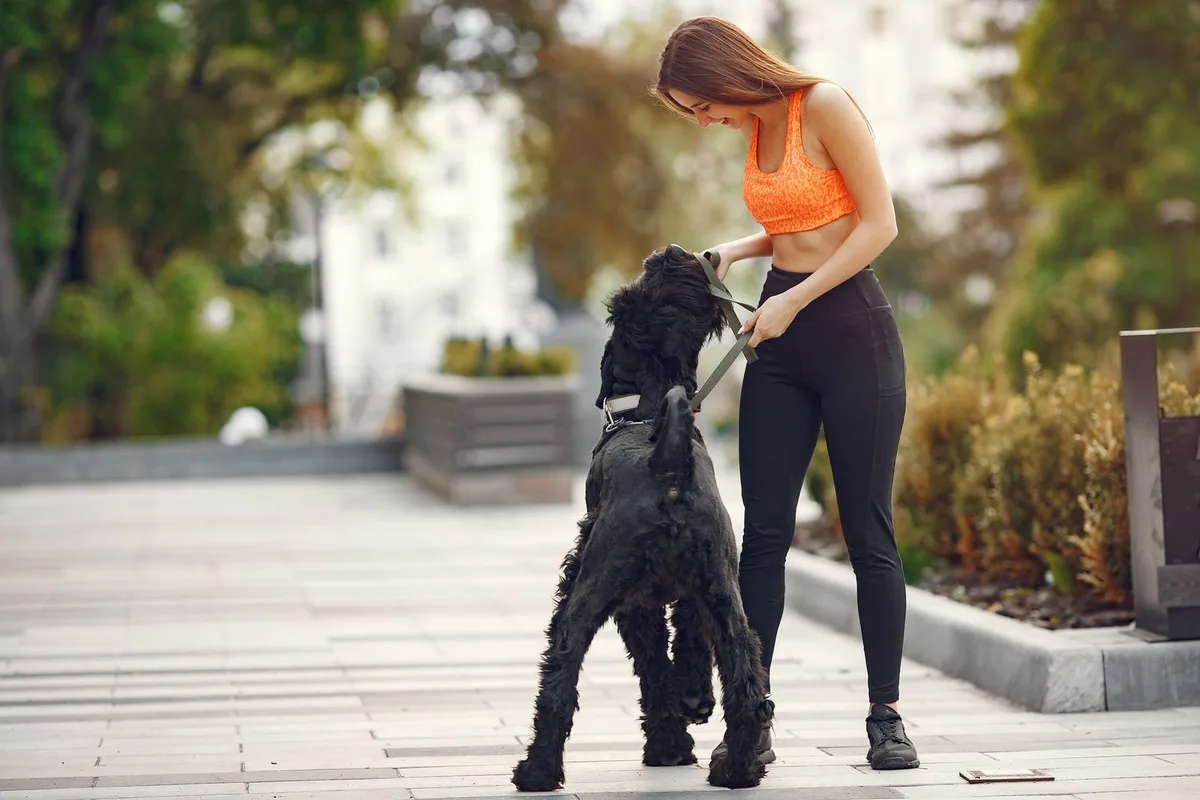 El primer paseo de tu peludo con GUAU