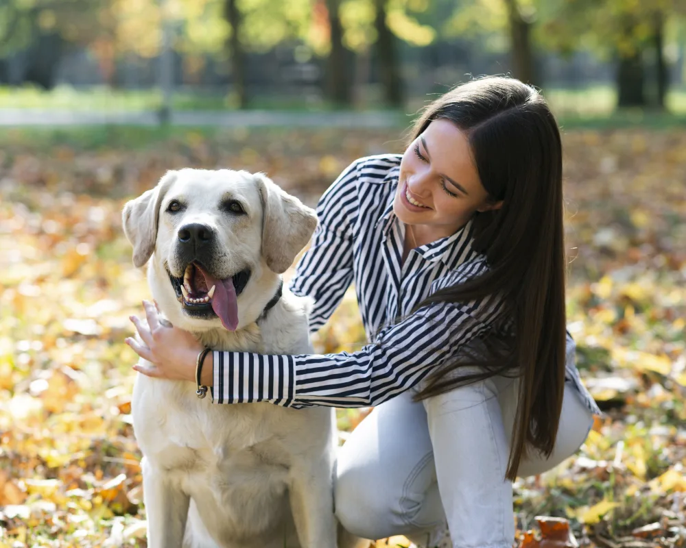 Joven abrazando a un labrador en el parque